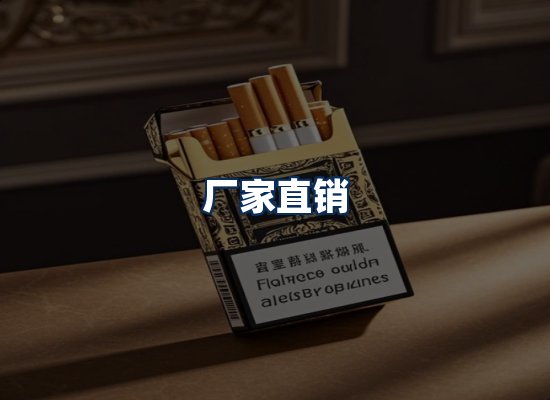 专业团队办公环境